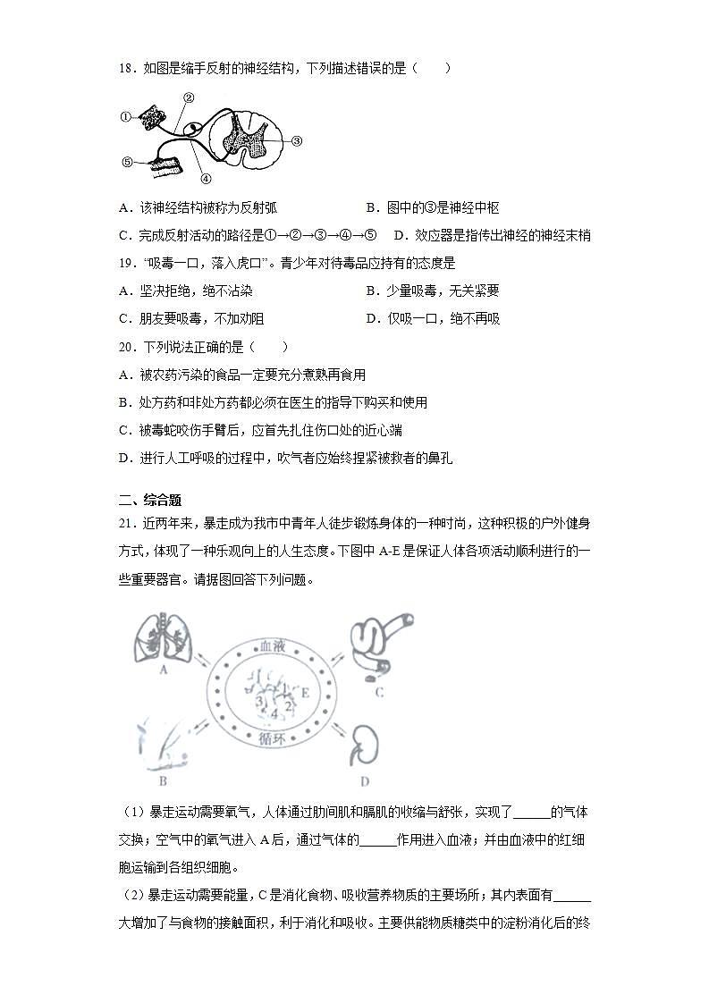安徽省淮北市濉溪县2020-2021学年七年级下学期期末生物试题(word版含答案)第3页