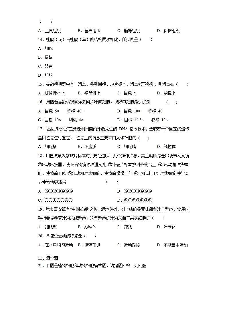 河南省郑州市中牟县2020-2021学年七年级上学期期中生物试题(word版含答案)03