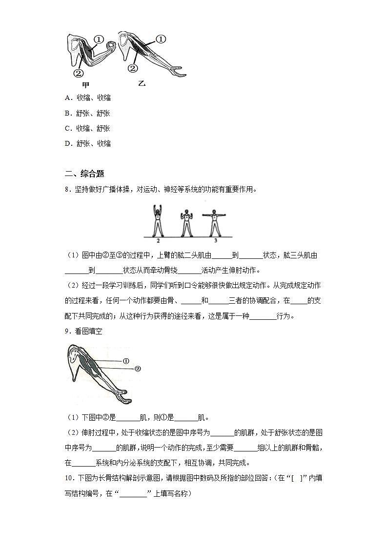 北师大版八年级上册 15.2 动物运动的形成(第1课时) 习题第2页
