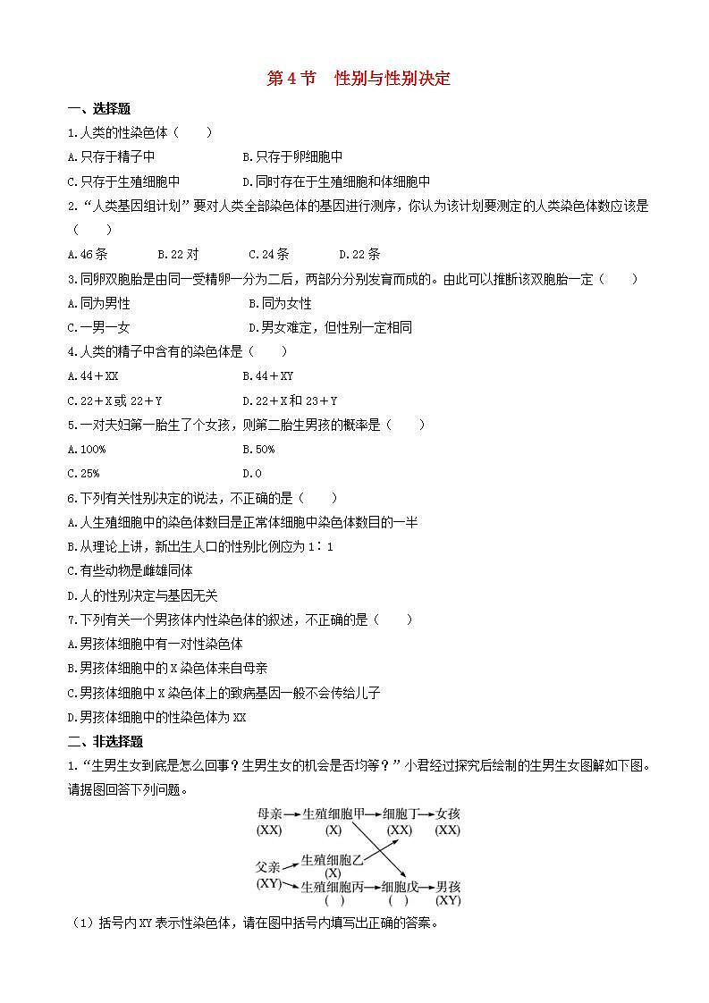 北师大版生物八年级上册《性别和性别决定》练习题第1页
