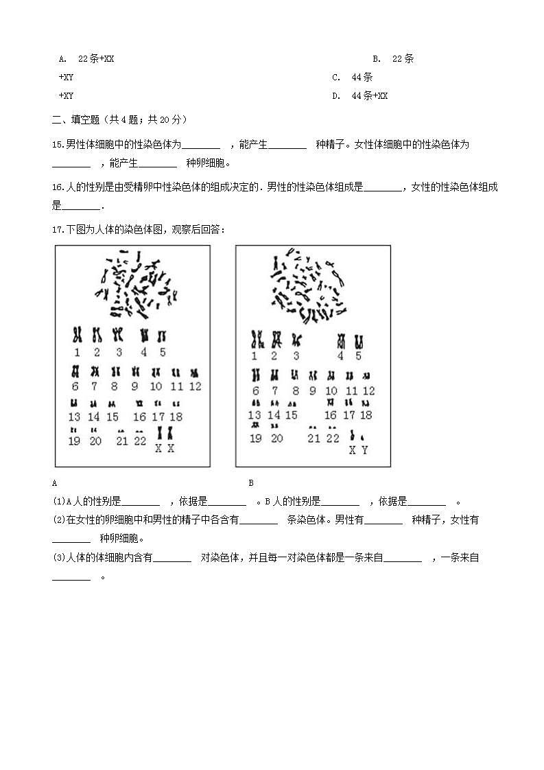 八年级生物下册第七单元第二章第四节人的性别遗传同步测试新版新人教版03