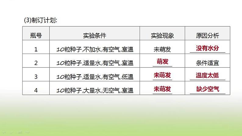 新人教版中考生物复习第三单元生物圈中的绿色植物第07课时被子植物的一生课件03