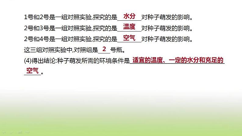 新人教版中考生物复习第三单元生物圈中的绿色植物第07课时被子植物的一生课件04