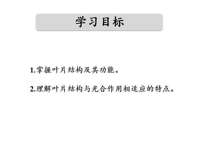 北师大版生物七年级上册 5.1光合作用(第3课时) 课件第3页