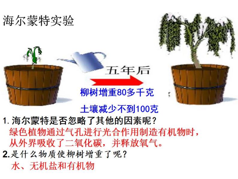 2021-2022人教版七年级生物上册 第三单元第五章第一节光合作用吸收二氧化碳释放氧气课件03