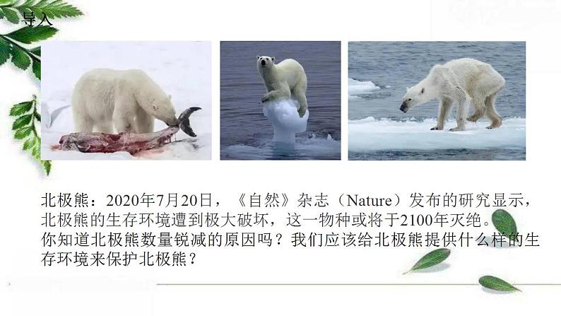2021-2022 初中生物人教版七年级上册1.2.1生物与环境的关系(第一课时)22页课件PPT第4页