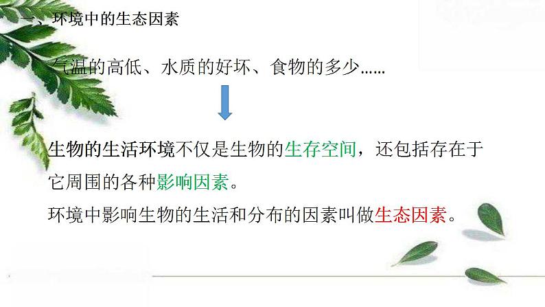 2021-2022 初中生物人教版七年级上册1.2.1生物与环境的关系(第一课时)22页课件PPT第5页