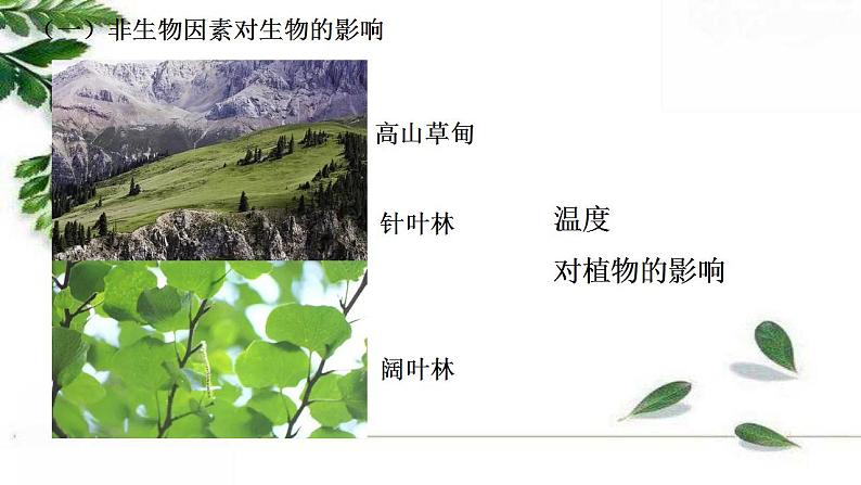 2021-2022 初中生物人教版七年级上册1.2.1生物与环境的关系(第一课时)22页课件PPT第8页
