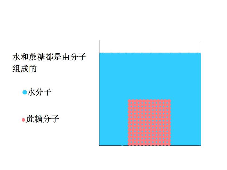 2021-2022 初中人教版 第二单元生物体的结构层次第一章细胞是生命活动的基本单位第四节细胞的生活教学课件第8页