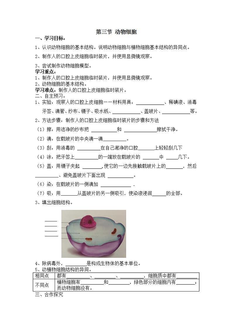 2021-2022学年人教版七年级生物上册 2.1.3 动物细胞 学案第1页