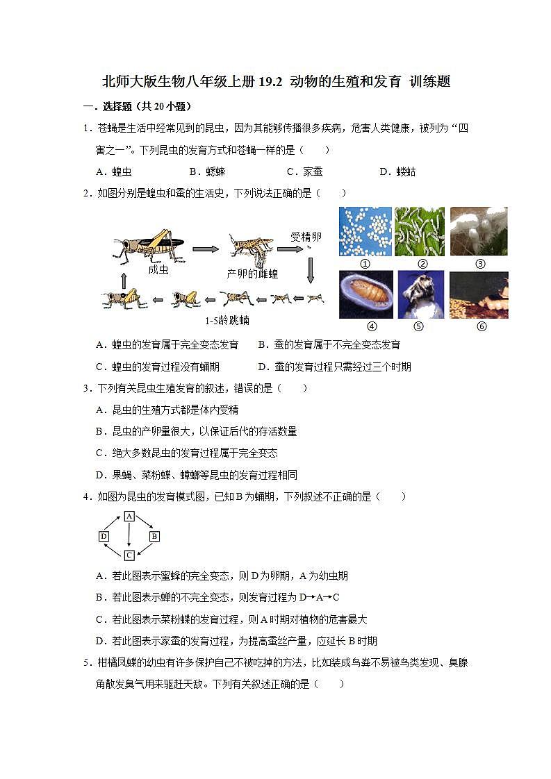 19.2 动物的生殖和发育 训练题2021--2022学年北师大版生物八年级上册(word版含答案)第1页
