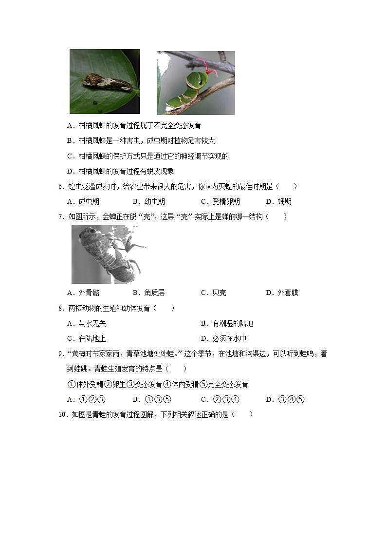 19.2 动物的生殖和发育 训练题2021--2022学年北师大版生物八年级上册(word版含答案)第2页