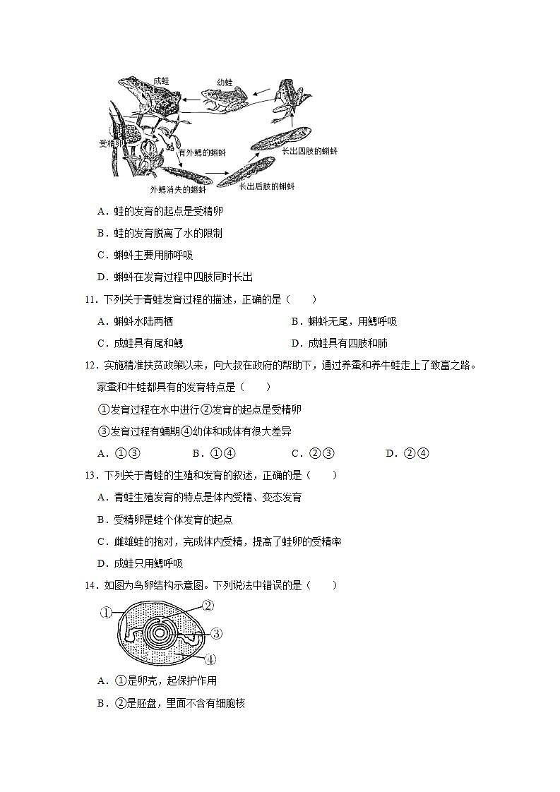 19.2 动物的生殖和发育 训练题2021--2022学年北师大版生物八年级上册(word版含答案)第3页