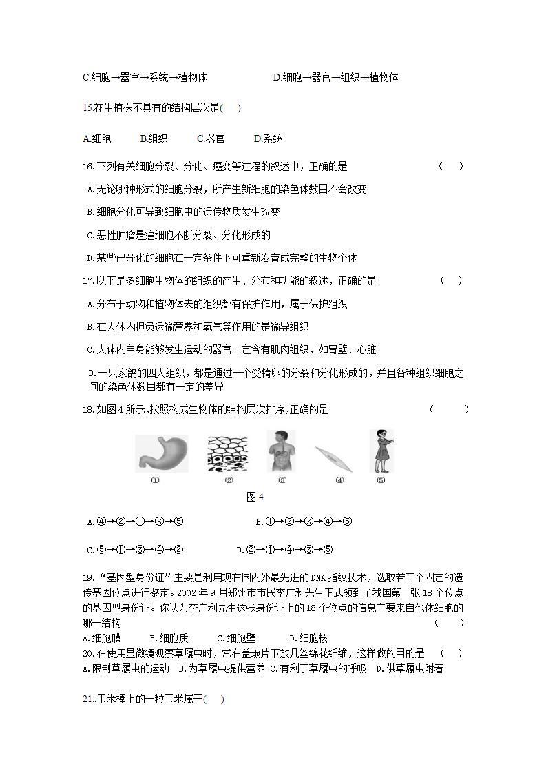 第2单元生物体的结构层次测试题 2021--2022学年苏教版生物七年级上册(word版无答案)03