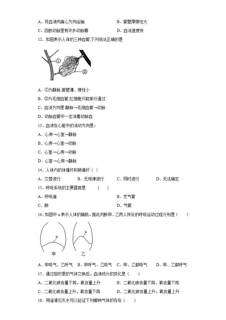 福建省龙岩市永定区2020-2021学年七年级下学期期中生物试题(word版含答案)02