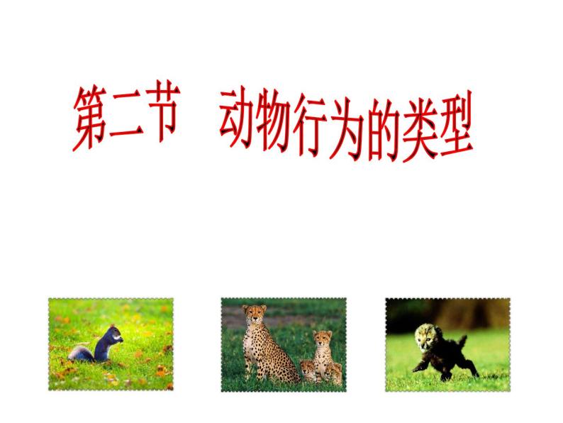 冀教版八年级上册 生物 课件 4.2.2 动物行为的类型01
