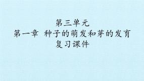 2021学年第一章  种子的萌发和芽的发育综合与测试复习课件ppt