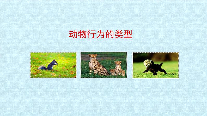 冀教版八年级上册 生物 课件 第四单元第二章 动物的行为 复习课件第6页