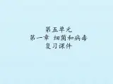 冀教版八年级上册 生物 课件 第五单元第一章 细菌和病毒 复习课件