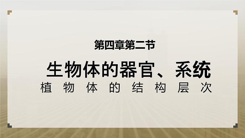 第二节 生物体的器官、系统(植物的结构层次)课件PPT02