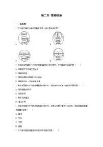 初中生物人教版 (新课标)七年级上册第二节 植物细胞随堂练习题