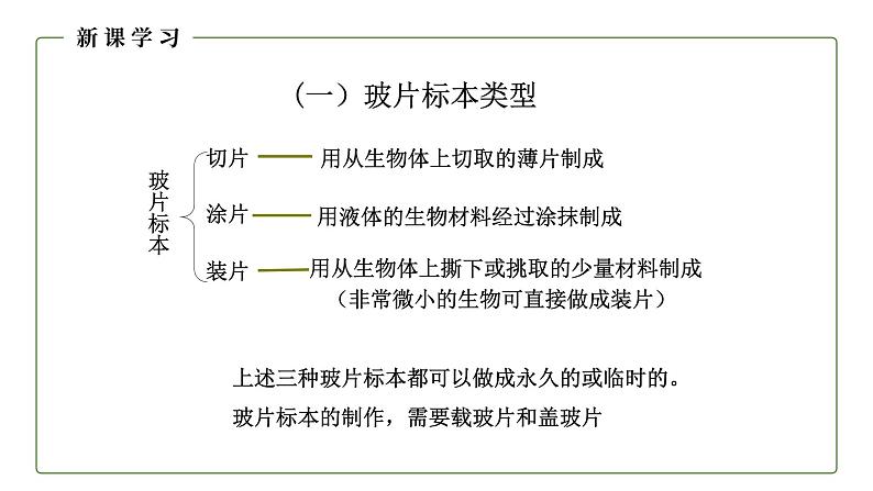 (人教版)初中生物七年级上册同步教学2.1.2 植物细胞 (课件)第4页