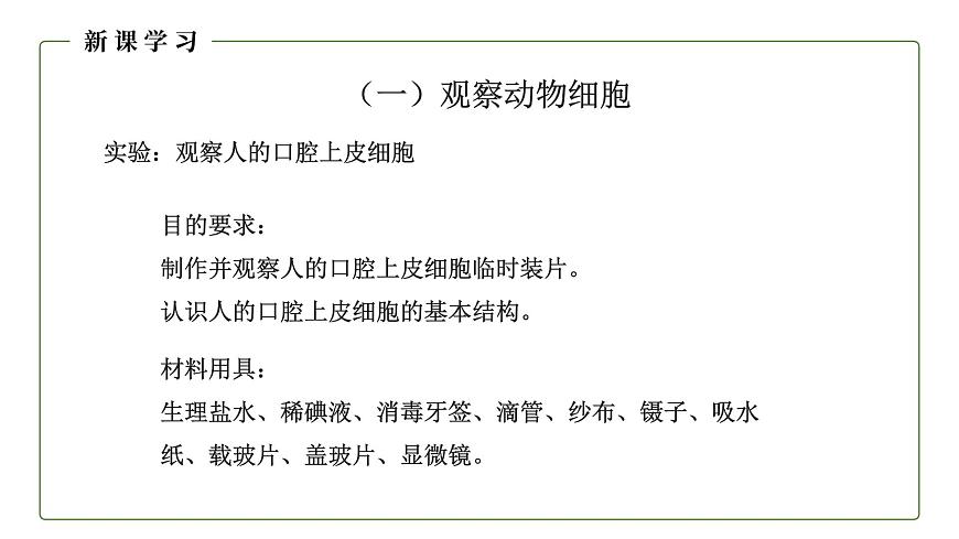 (人教版)初中生物七年級上冊同步教學(xué)2.1.3 動物細(xì)胞 (課件)第4頁