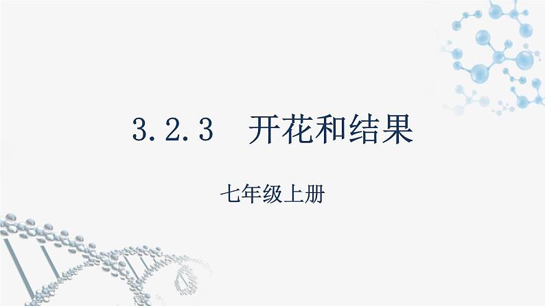 3.2.3开花和结果 课件 2021-2022学年初中生物人教版七年级上册01