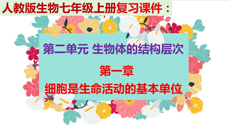 2.1复习 细胞是生命活动的基本单位 课件PPT第1页