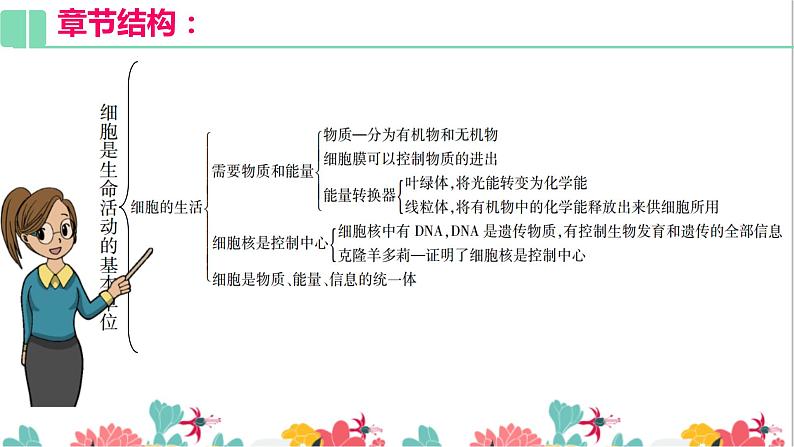 2.1复习 细胞是生命活动的基本单位 课件PPT第7页