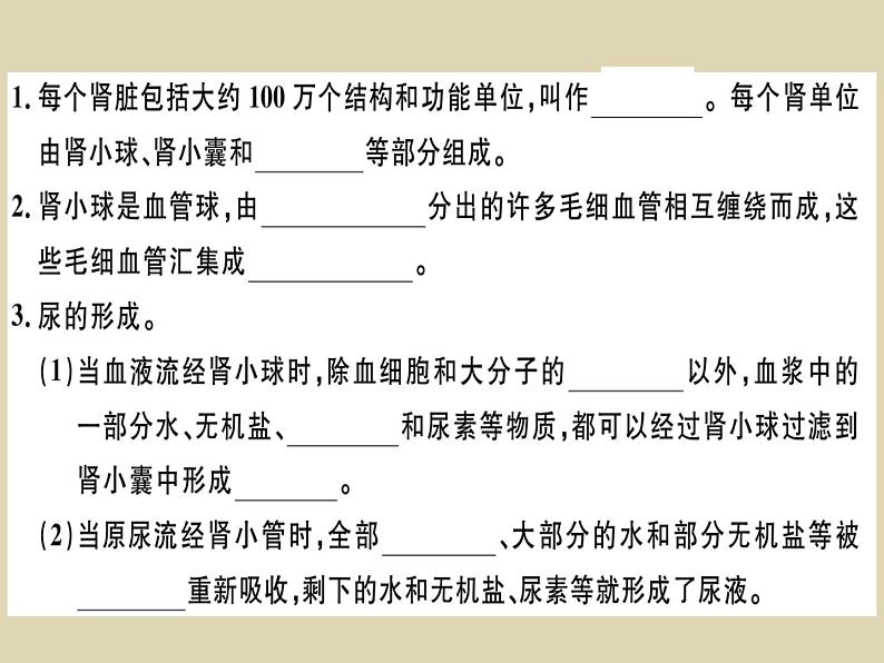 (新人教版)七年级下册第五章人体内废物的排出习题课件(生物)第3页