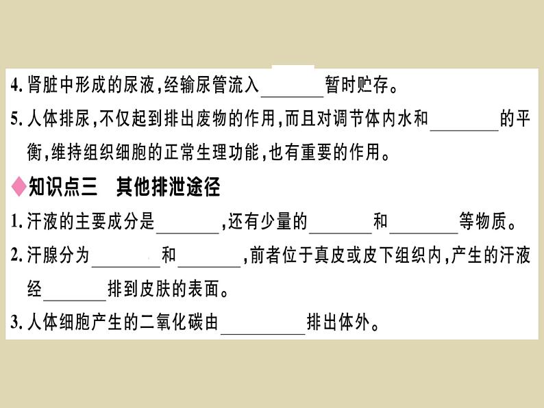 (新人教版)七年级下册第五章人体内废物的排出习题课件(生物)第4页