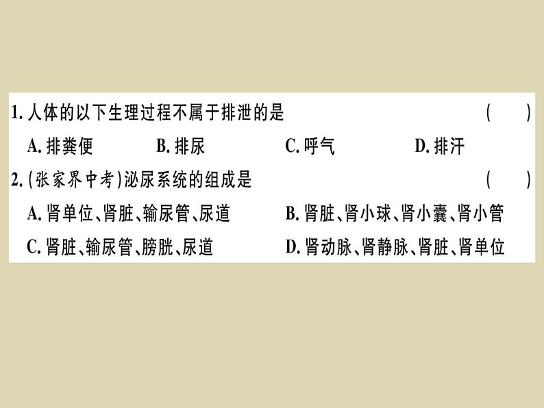 (新人教版)七年级下册第五章人体内废物的排出习题课件(生物)第5页