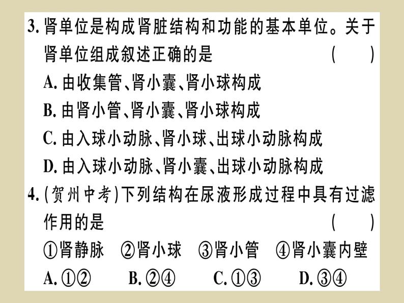 (新人教版)七年级下册第五章人体内废物的排出习题课件(生物)第6页