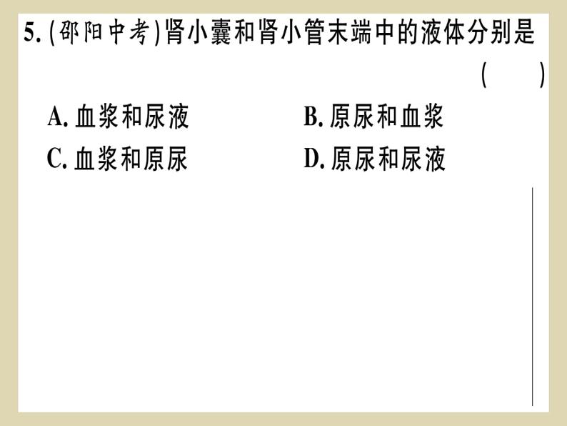 (新人教版)七年级下册第五章人体内废物的排出习题课件(生物)第7页