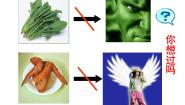 食物在口腔中的消化PPT课件免费下载