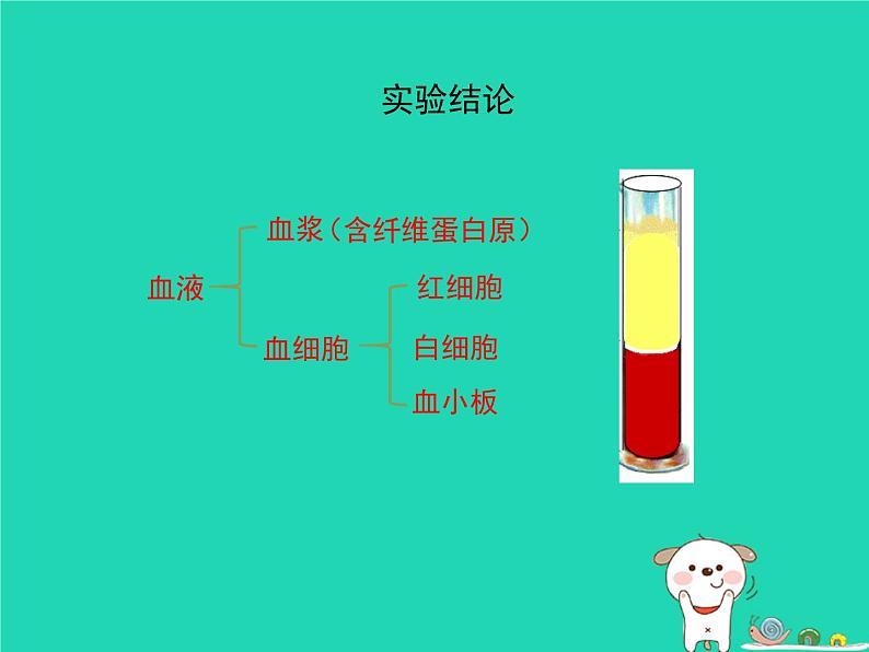 (苏科版)八年级生物上册6.15.1人体内物质的运输第3课时课件第7页