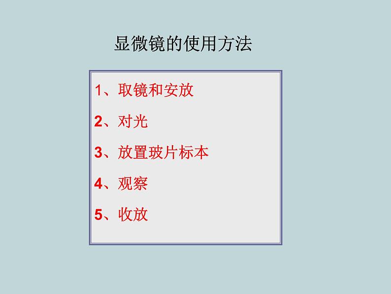 (新人教版)七年级上册第二单元第一章第二节植物细胞课件(生物) (1)04