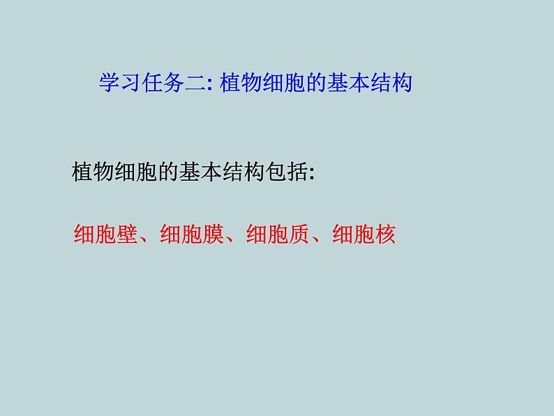 (新人教版)七年级上册第二单元第一章第二节植物细胞课件(生物) (1)08