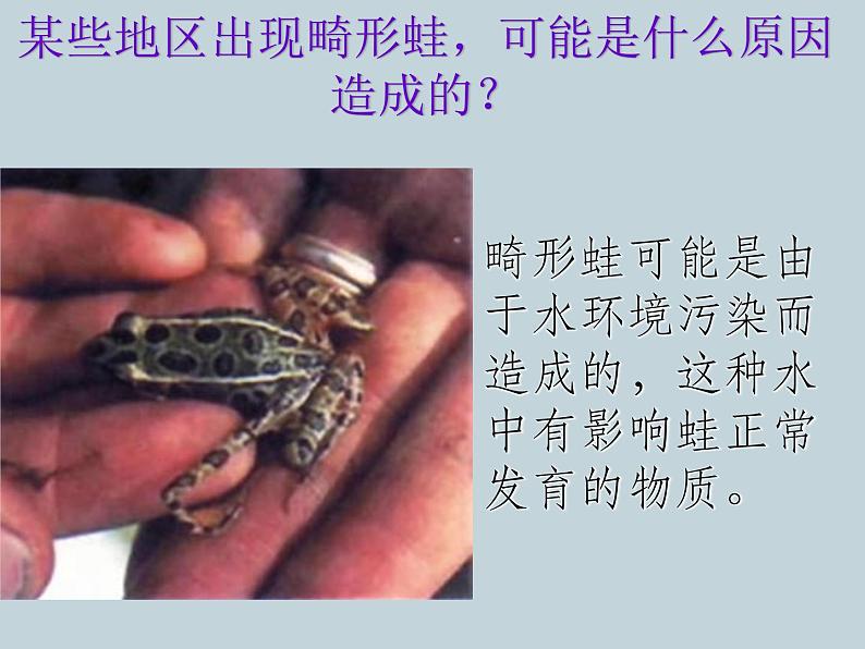 (新人教版)八年级上册两栖动物和爬行动物课件1(生物) (1)第8页