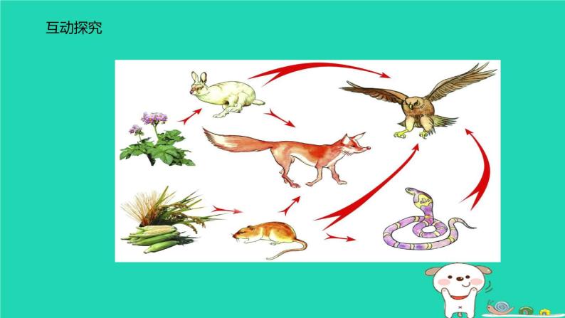 （苏科版）七年级生物上册3.6.2食物网课件06