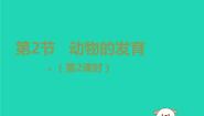 初中生物苏科版八年级上册第2节 	动物的发育图文ppt课件