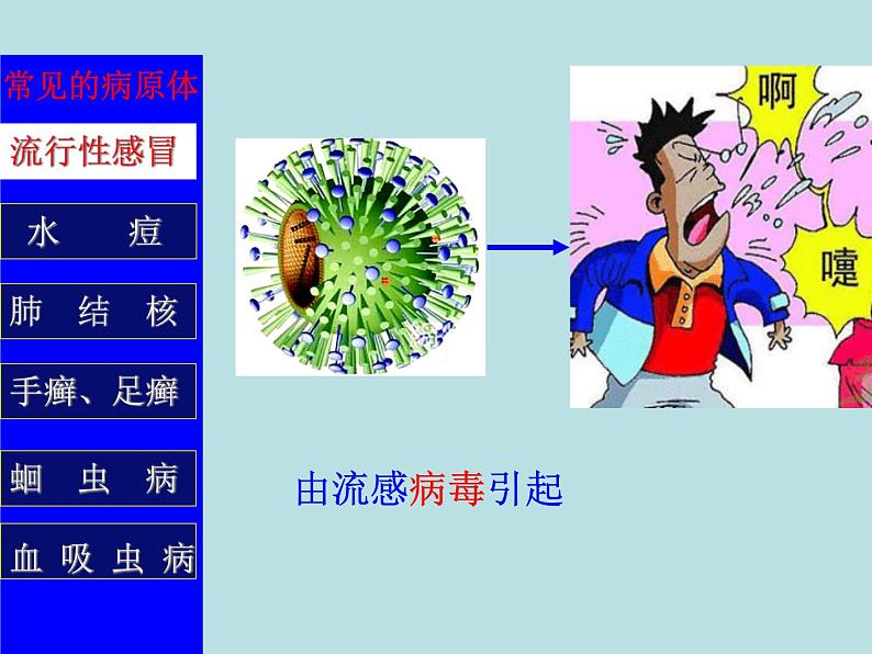 (新人教版)八年级下册第一章传染病和免疫第一节传染病及其预防教学课件(生物)第7页