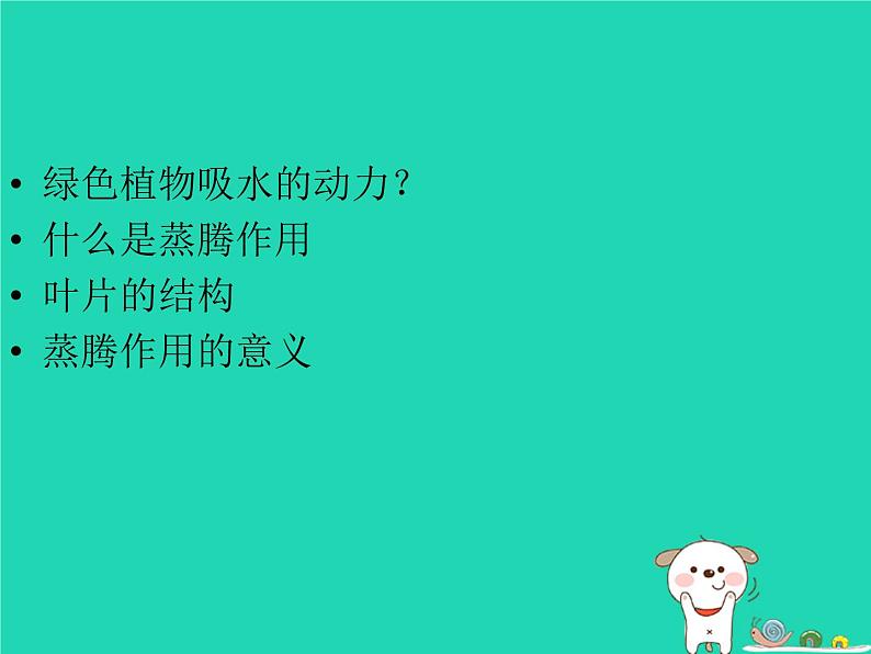 (新人教版)七年级生物上册3.3绿色植物与生物圈的水循环课件02