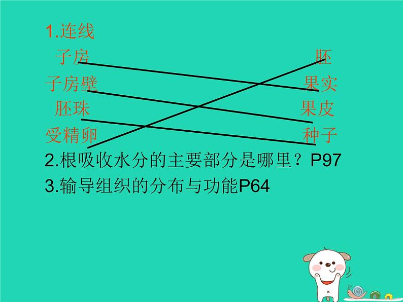 (新人教版)七年级生物上册3.3绿色植物与生物圈的水循环课件03