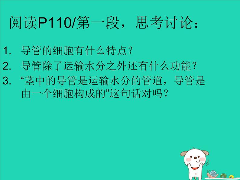 (新人教版)七年级生物上册3.3绿色植物与生物圈的水循环课件04