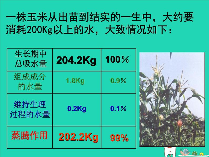 (新人教版)七年级生物上册3.3绿色植物与生物圈的水循环课件05