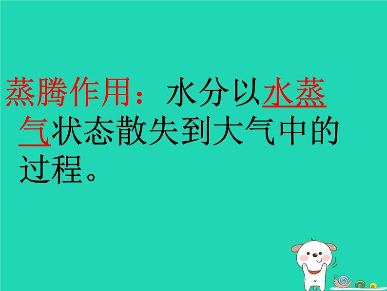(新人教版)七年级生物上册3.3绿色植物与生物圈的水循环课件07