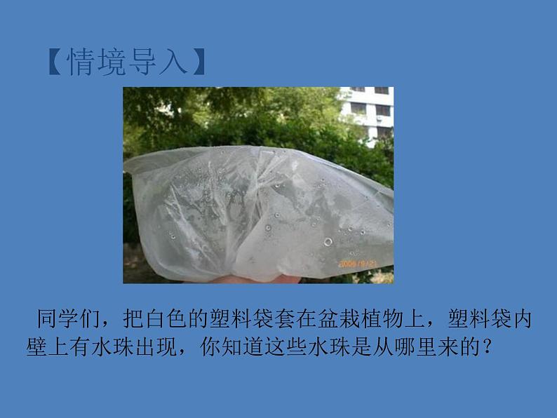 (新人教版)七年级生物上册第三单元第三章绿色植物与生物圈的水循环课件第2页