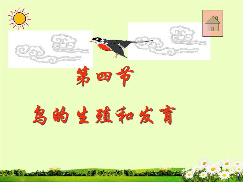 7.1.4鸟的生殖和发育课件PPT01